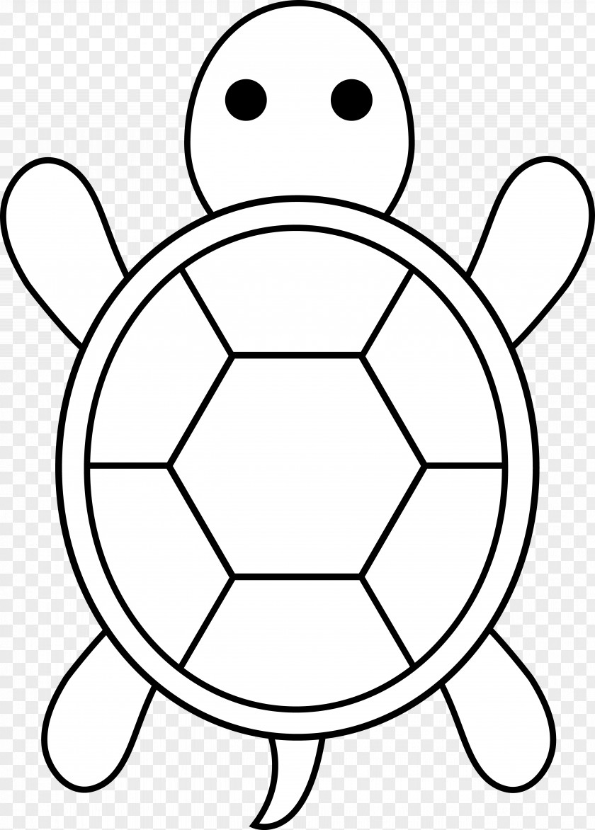 Cartoon Baby Drawings Sea Turtle Free Content Clip Art PNG
