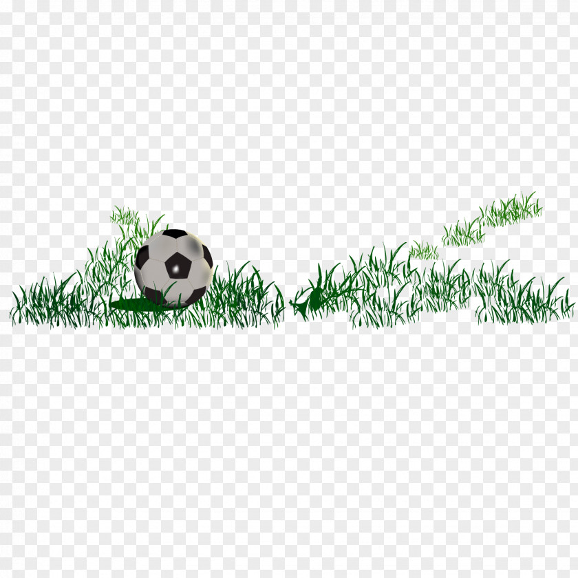Football Grass PNG