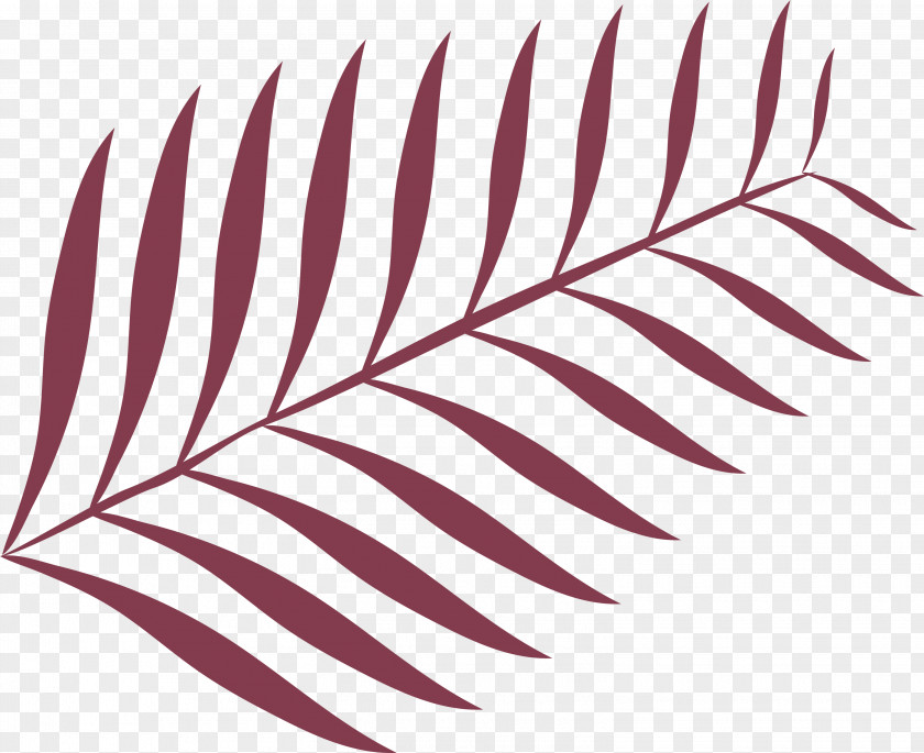 Leaf PNG