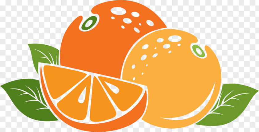 Orange Cartoon Mandarin App Store Auglis PNG