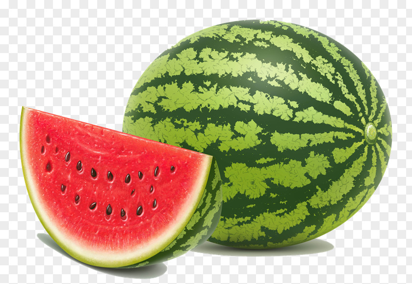 Watermelon Seed Fruit Food Vegetable PNG