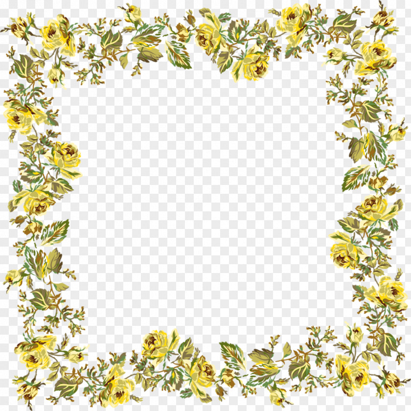 Border Picture Frames Photography Clip Art PNG