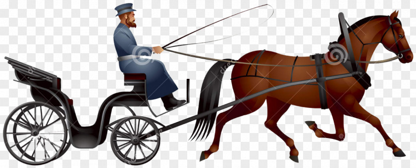 Horse Horse-drawn Vehicle Carriage And Buggy Driving PNG