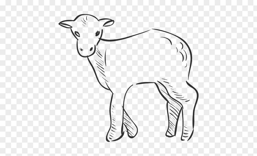 Sheep Goat Clip Art PNG