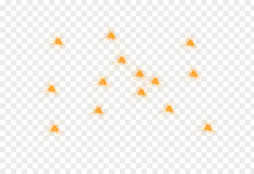 Yellow Star Petal Pattern PNG