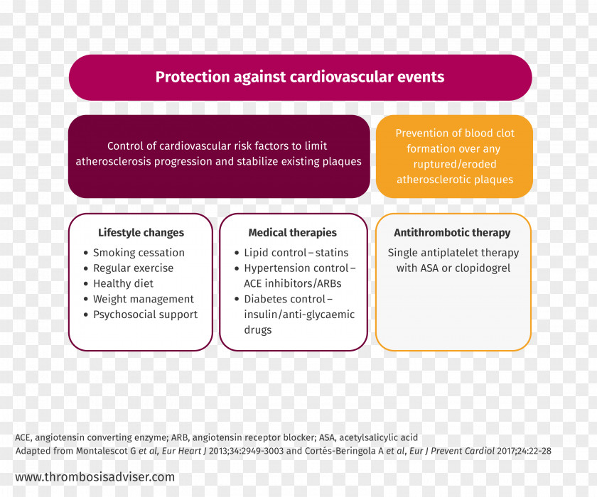 Coronary Artery Disease Arteries Cardiovascular PNG