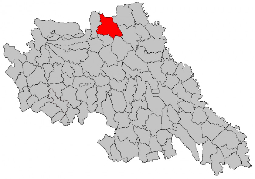Judô Probota Victoria, Iași Metropolitan Area Statistical PNG