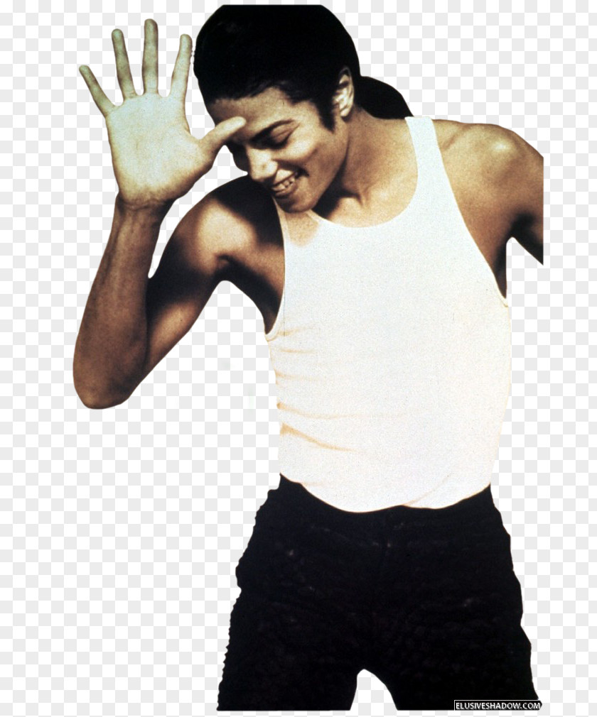 Michael Jackson In The Closet Dangerous Remember Time PNG