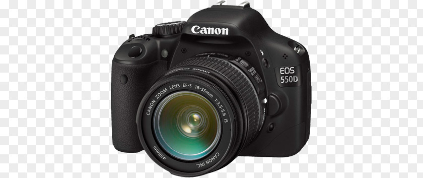 Photo Cameras PNG cameras clipart PNG