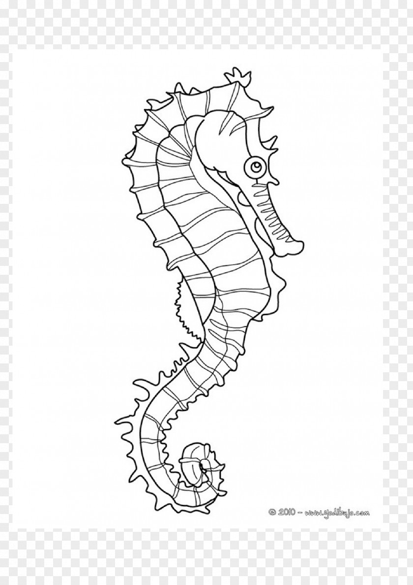 Seahorse Mister Coloring Book Child PNG
