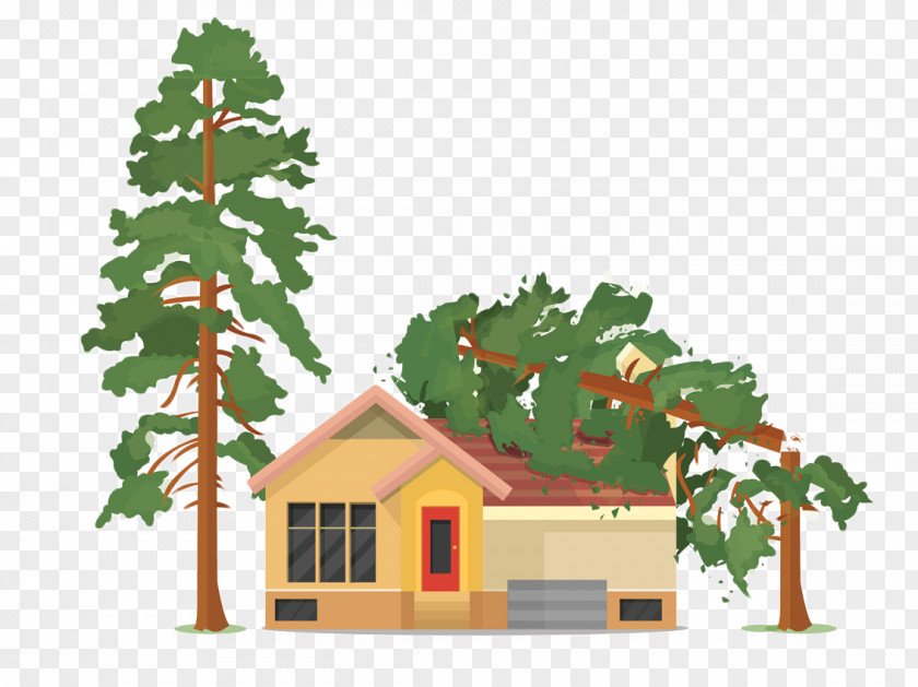 Tree Vector Graphics Clip Art House Illustration PNG
