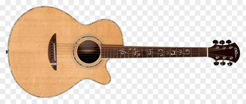 Acoustic Guitar Cort Guitars Acoustic-electric Cutaway PNG