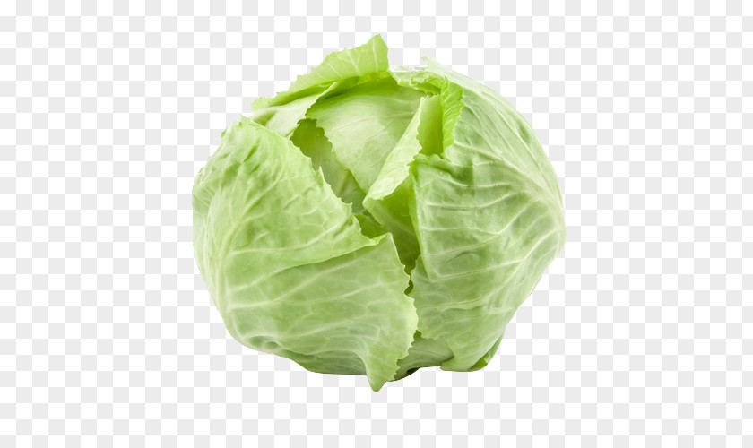 Cabbage Organic Food Vegetable Biokistl Potato PNG