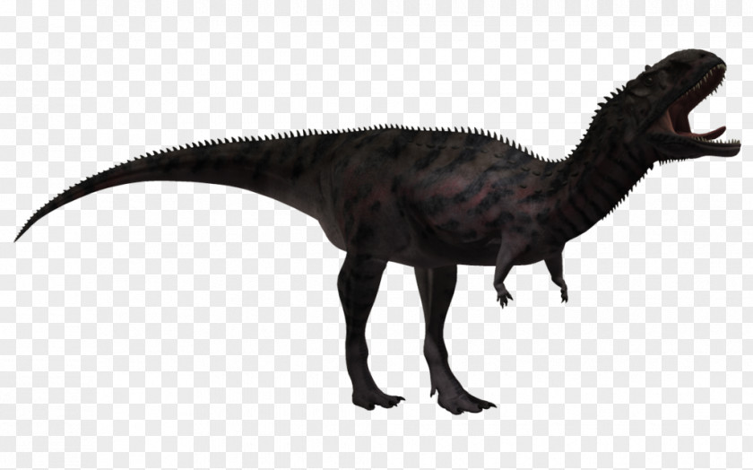 Dinosaur Tyrannosaurus Majungasaurus Velociraptor Carnotaurus PNG