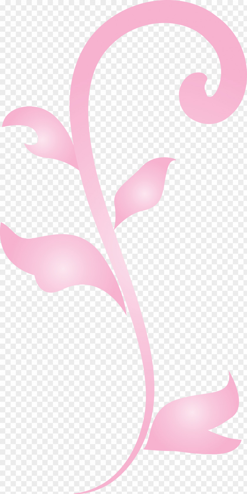 Flower Frame Floral PNG