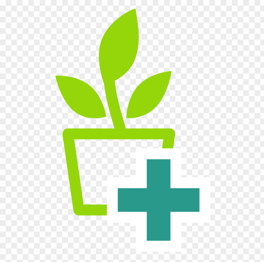 Leaf Logo Plant Stem Plants Carnation PNG