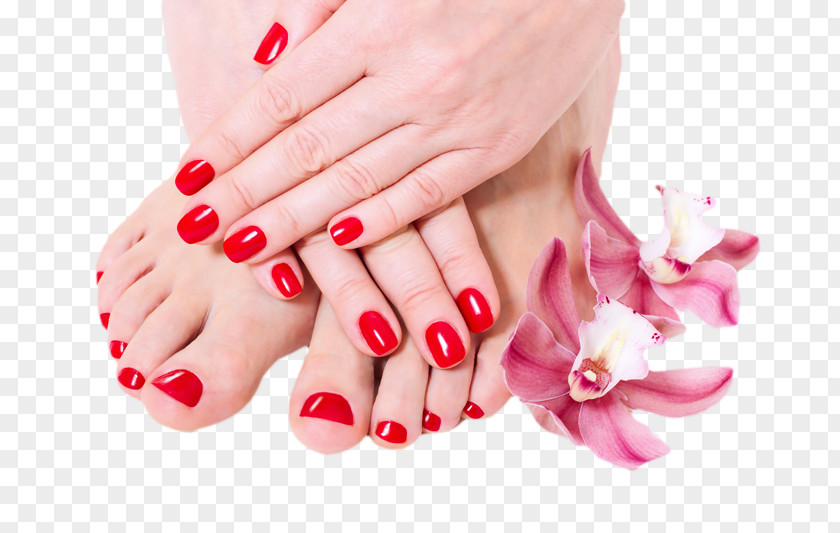 Nails Manicure Pedicure Spa Massage Cosmetologist PNG
