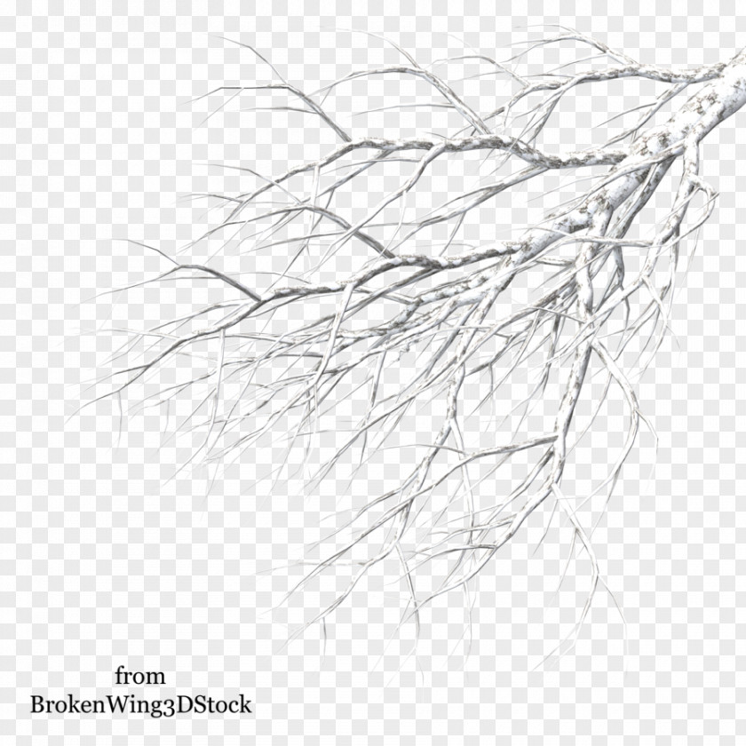 Snow Tree Winter Branch Drawing PNG