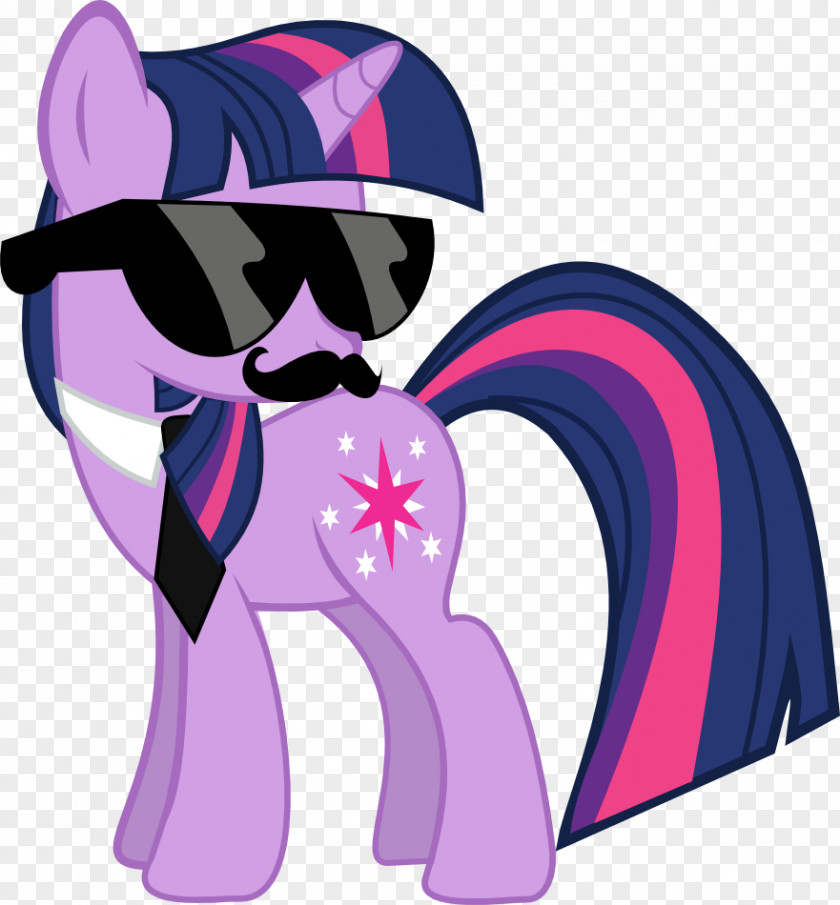 Swag Twilight Sparkle Derpy Hooves Applejack Pinkie Pie Rarity PNG