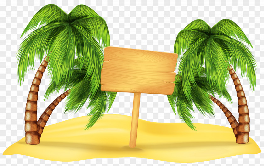 Transparent Beach Palm Decoration Clipart Summer Clip Art PNG