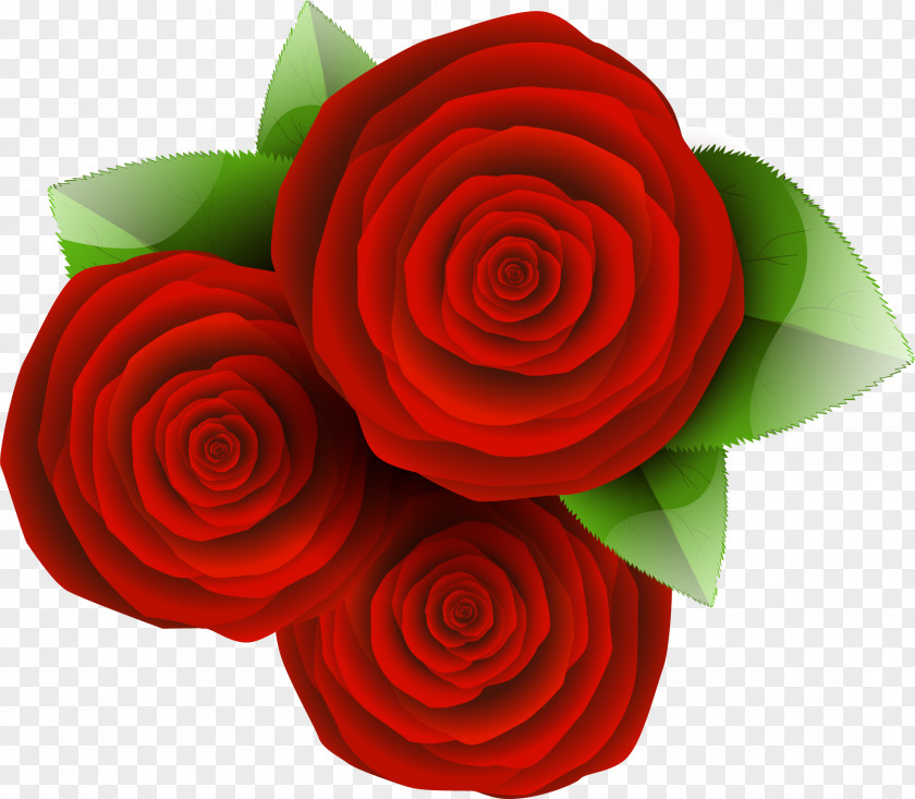 Garden Roses Cut Flowers Flower Bouquet PNG