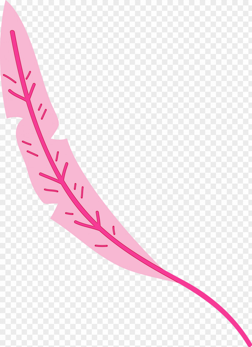 Line Angle Pink M Petal Font PNG