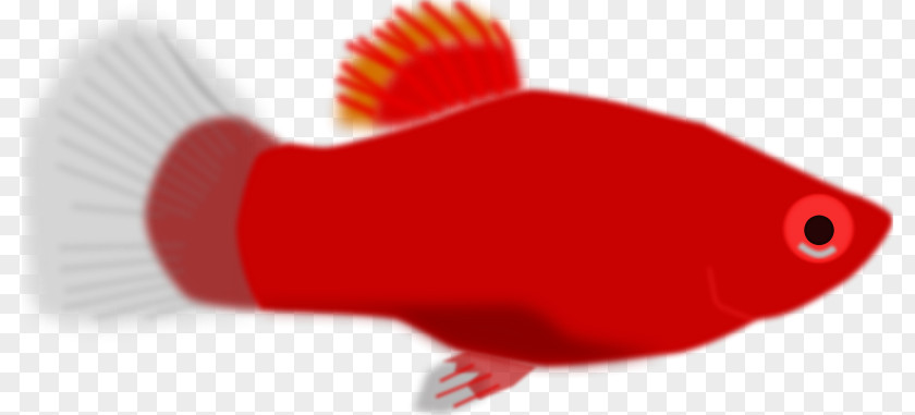 Mystic Aquarium Clip Art Fish Vector Graphics Image PNG