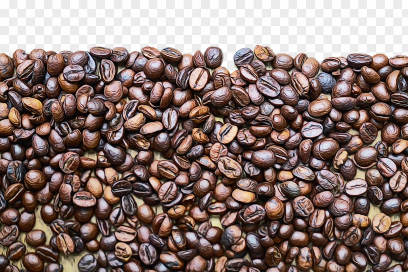 Seed Singleorigin Coffee Kapeng Barako Jamaican Blue Mountain Java Brown Bean PNG