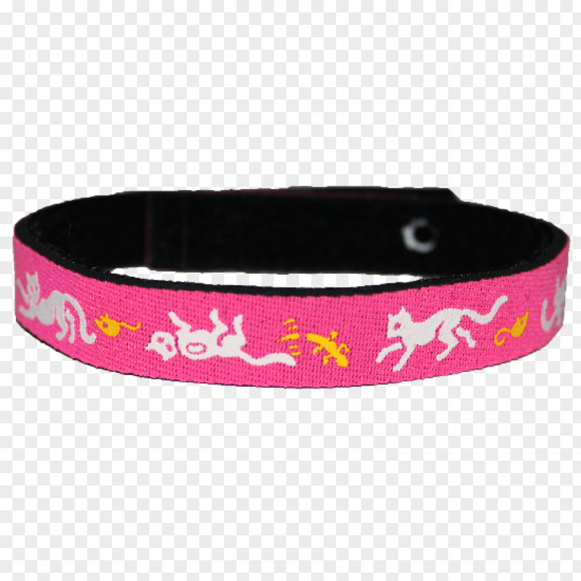 Cat Play And Toys Dog Collar PNG