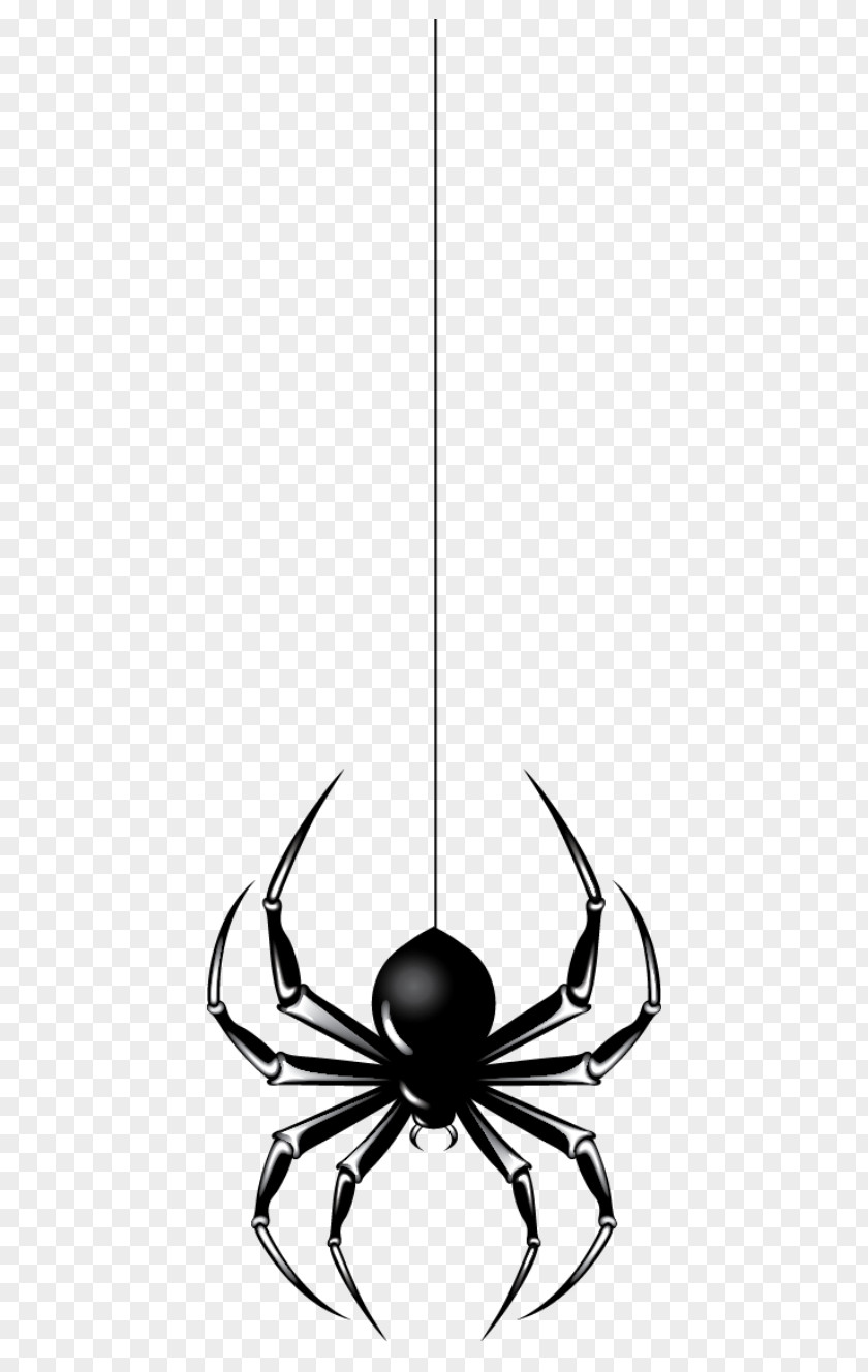 Hanging Spider Halloween Clip Art PNG