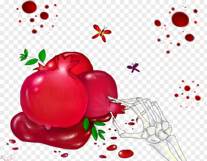 Pomegranate Food Cranberry Still Life Photography PNG