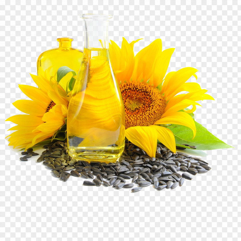 Sunflower Oil Common Vegetable Seed PNG