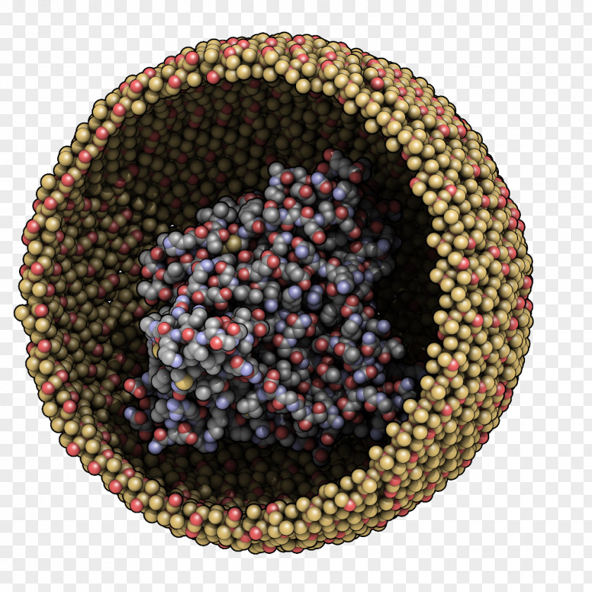 Biomolecules Bead Circle M RV & Camping Resort PNG