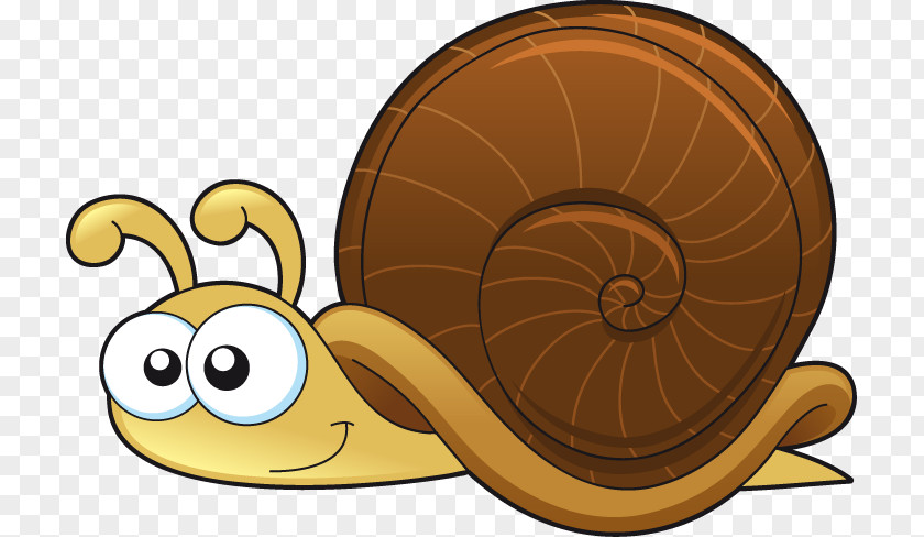 Hand-painted Cartoon Snail Pattern Drawing Clip Art PNG