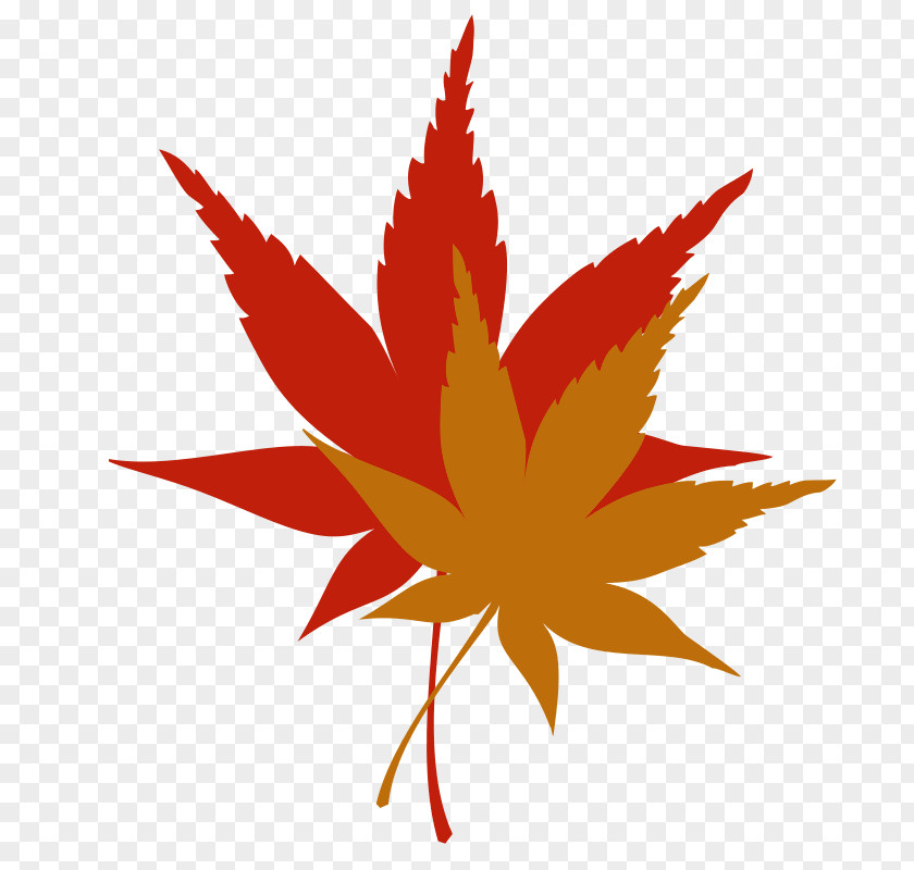 Red Leaves Maple Leaf Autumn Color Clip Art PNG