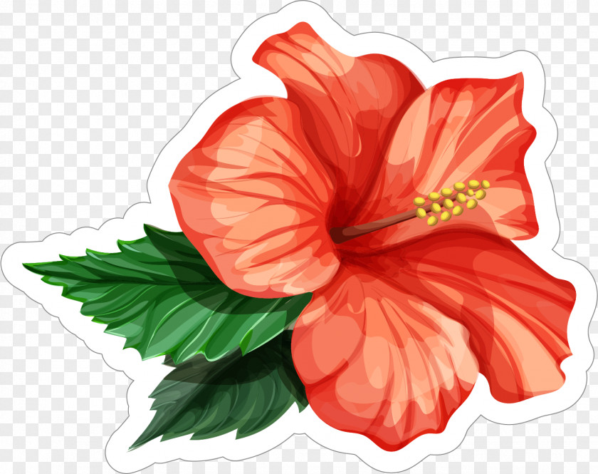 Three Black Red Hibiscus Flower Vector Graphics Rosemallows Illustration Drawing PNG