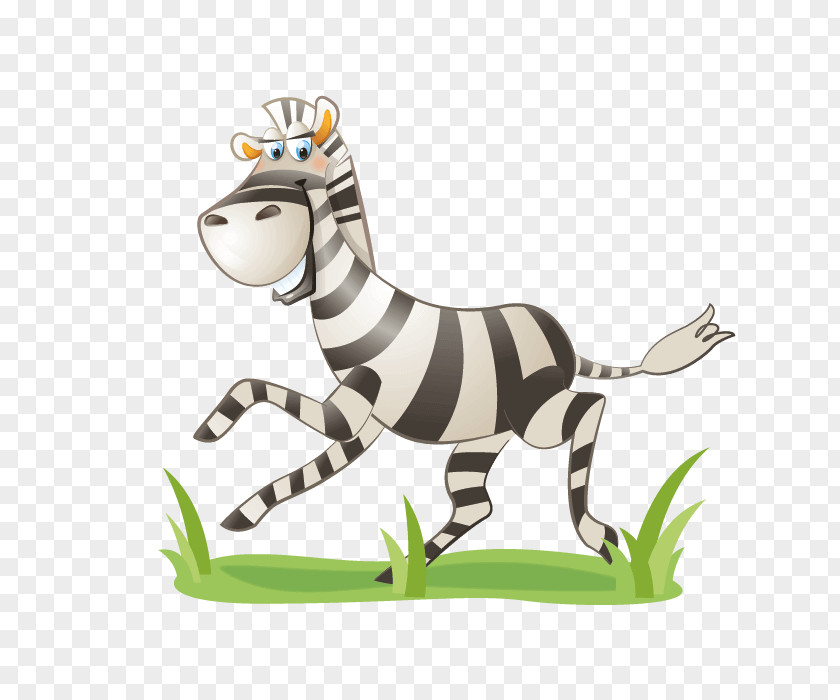 Zebra Wall Decal Sticker Child PNG