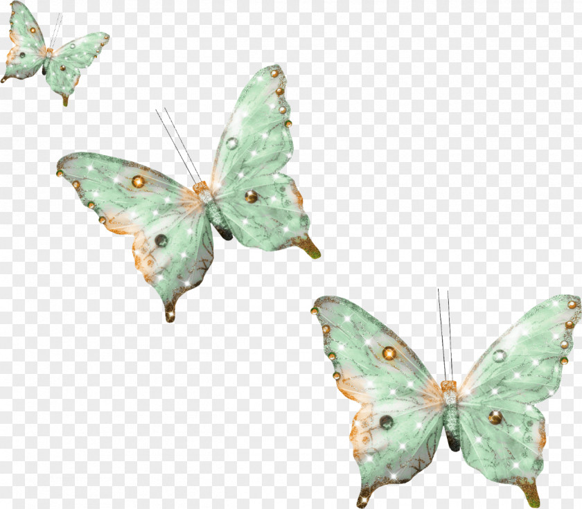 3 Butterfly PNG