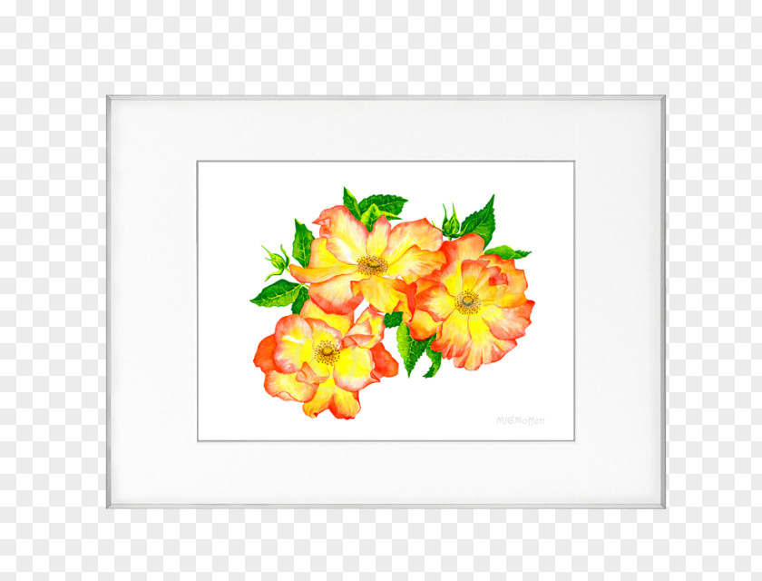 Mary Jane Floral Design Cut Flowers Picture Frames Petal Pattern PNG