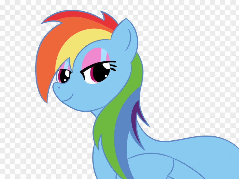 My Little Pony Rainbow Dash Rarity Twilight Sparkle PNG