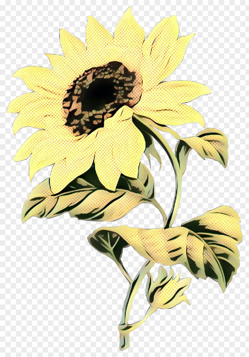 Clip Art Common Sunflower Image PNG