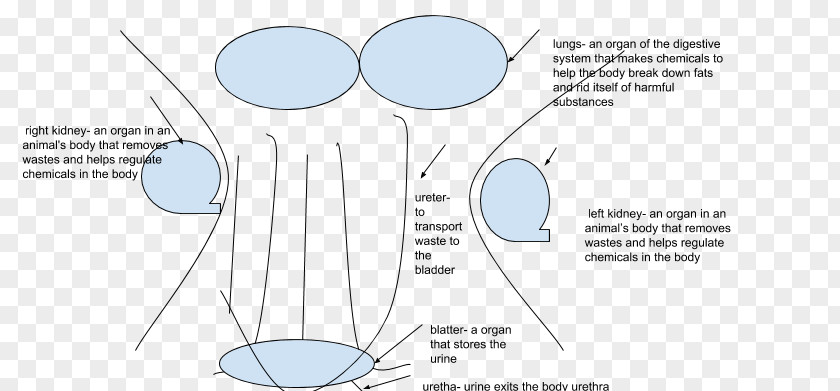 Line Paper Angle Pattern PNG