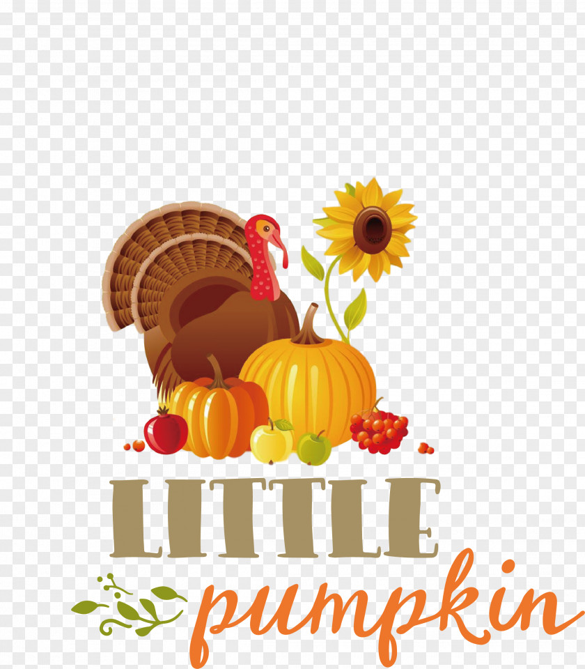 Little Pumpkin Thanksgiving Autumn PNG