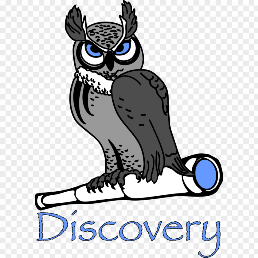 Mesa Vista Academy EducationDiscovery Discovery Charter School PNG