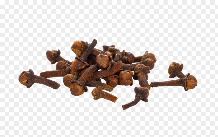 Spice Clove Syzygium Aromaticum Food Ingredient PNG