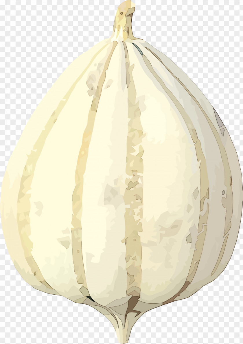 Vegetable Onion Plant Allium Elephant Garlic PNG