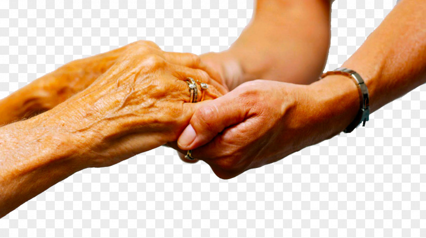 Elderly Care Caregiver Old Age Home Service Nursing PNG