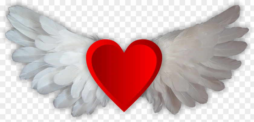 Heart Wings Download Lossless Compression PNG