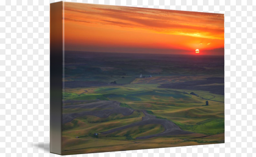 Painting Palouse Gallery Wrap Ecoregion Canvas PNG