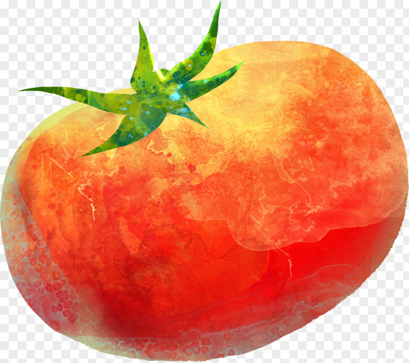 Tomato Painting Computer File PNG